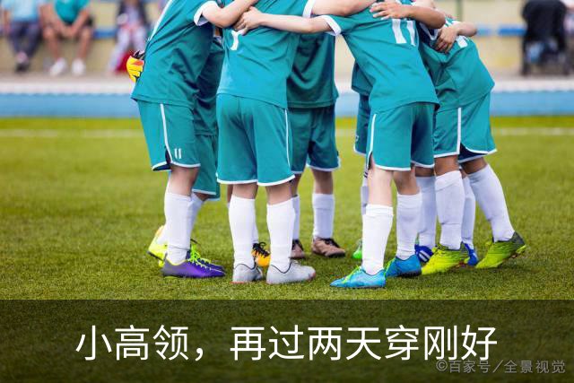 小高领，再过两天穿刚好