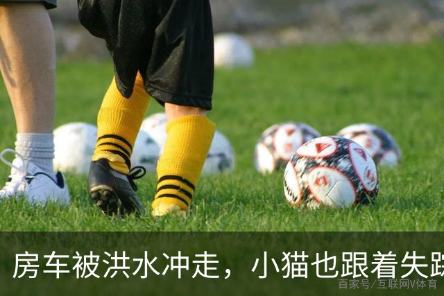房车被洪水冲走，小猫也跟着失踪，8天后它突然回家了，全家人都哭了