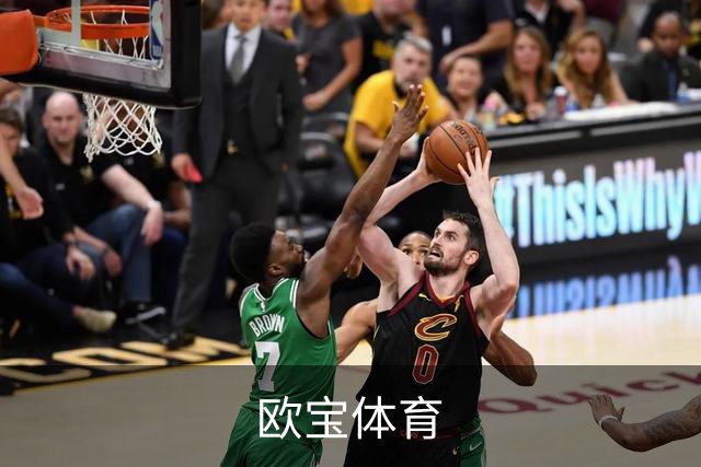 欧宝体育公司简介